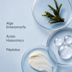 Crema Regeneradora